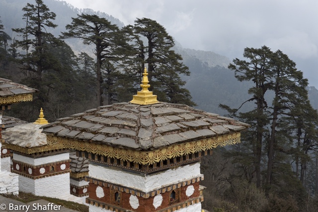 20151215-20151215-_DSC0619