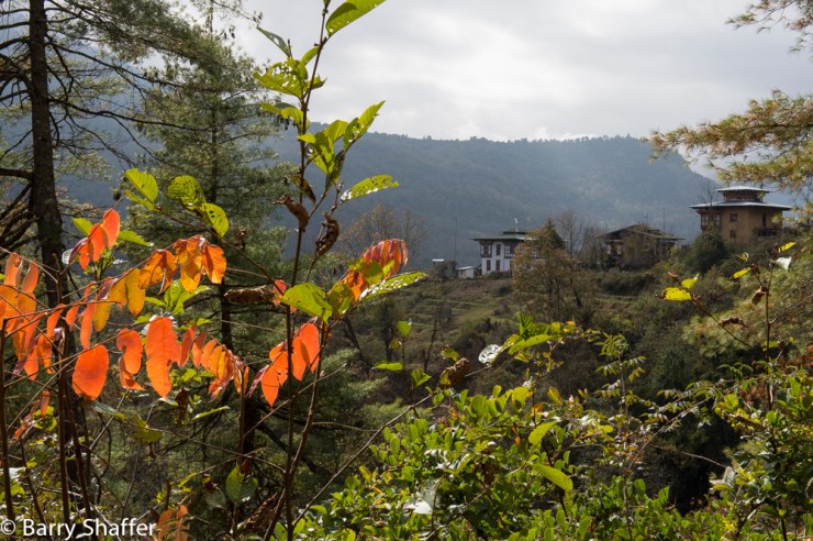 II_20151211-20151211-_DSC0493