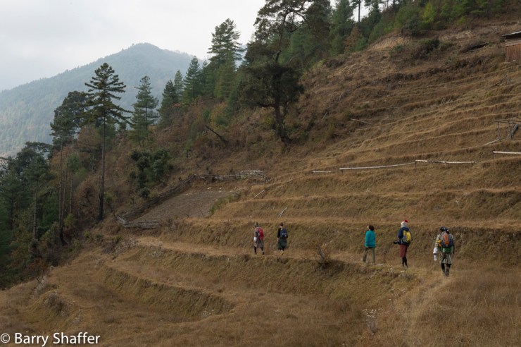 II_20151212-20151212-_DSC0543