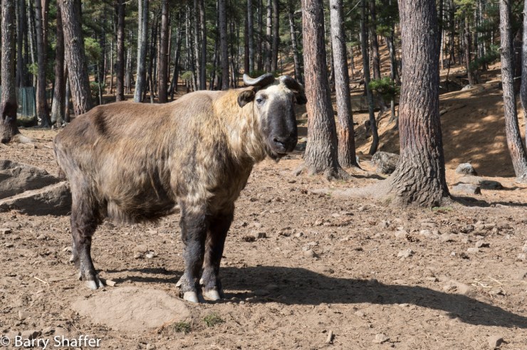 III20151216-20151216-_DSC0787