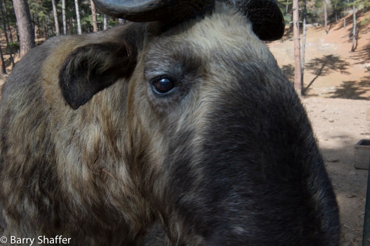 III20151216-20151216-_DSC0793